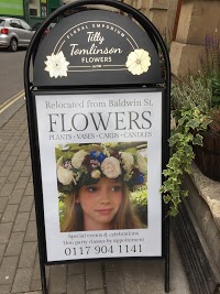 Tilly Tomlinson Flowers Ltd 1081209 Image 7